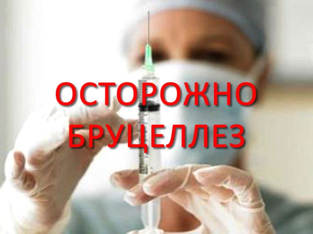 О профилактике возникновения и распространения бруцеллеза на территории Ханты-Мансийского автономного округа-Югры.