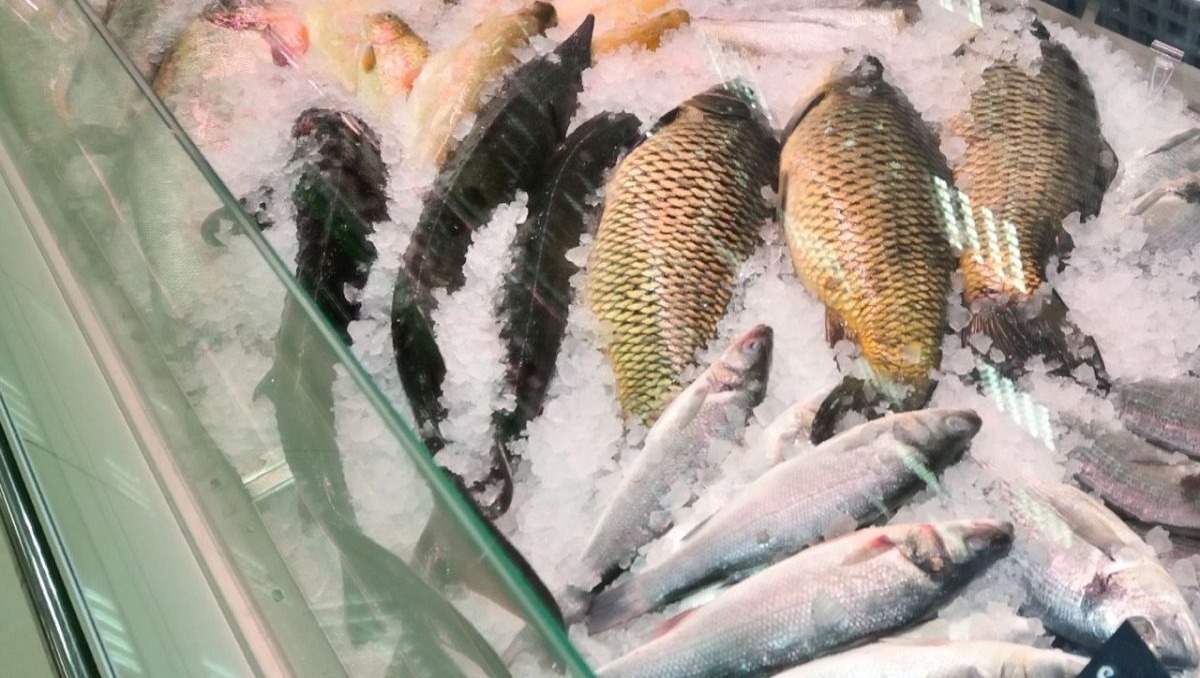 Об опасности приобретения «несертифицированной» рыбной продукции.