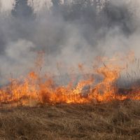 Об установлении пожароопасного сезона 2024 года на территории  Югры.