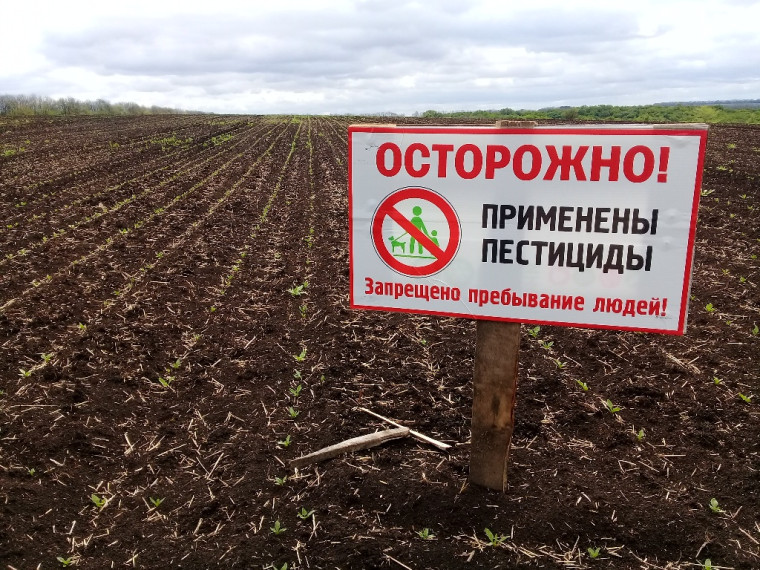 О безопасном обращении с пестицидами и агрохимикатами. О безопасном обращении с пестицидами и агрохимикатами.