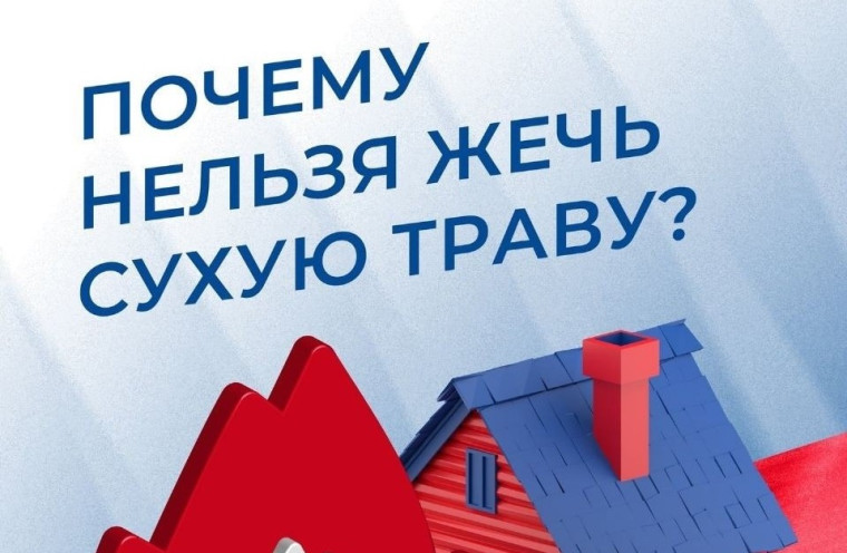 Можно ли сжигать прошлогоднюю траву?. Можно ли сжигать прошлогоднюю траву?.