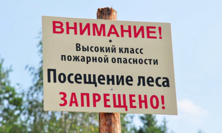 Запрет на посещение лесов. Запрет на посещение лесов.