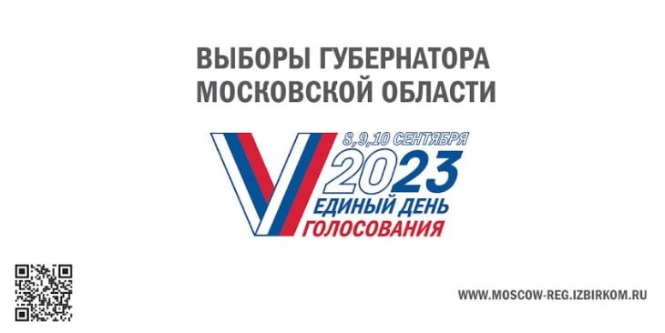 Подготовка к выборам. Подготовка к выборам.