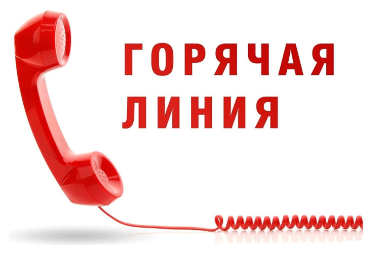 Горячая линия. Горячая линия.