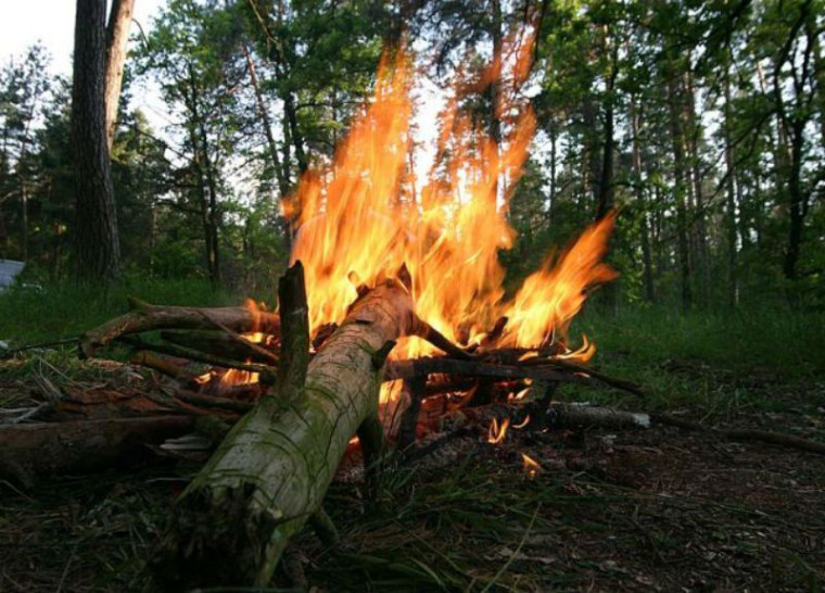 Обстановка с лесными пожарами.
